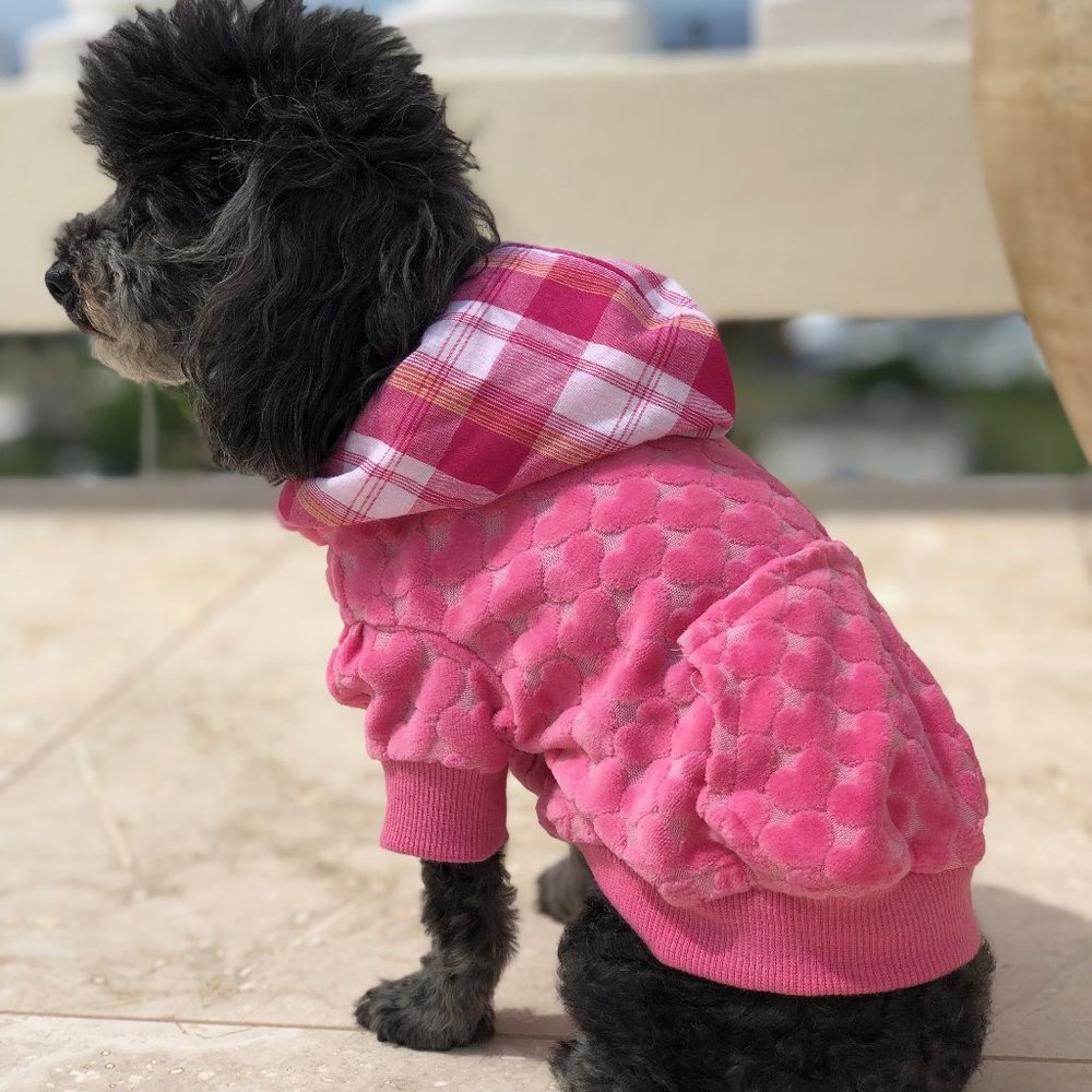 Dog Hoodie